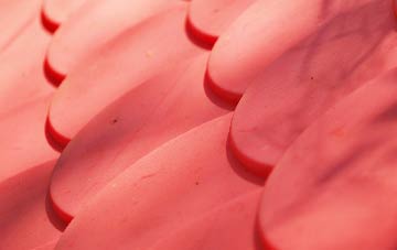 Blundies plastic roof costs