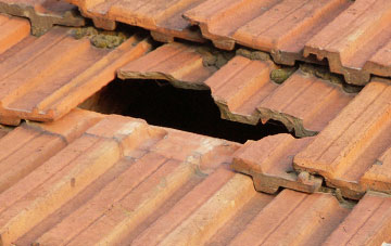 roof repair Blundies, Staffordshire