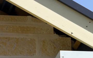 soffit repair Blundies