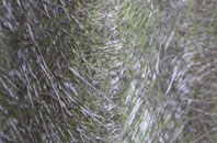 Blundies fibreglass roof work